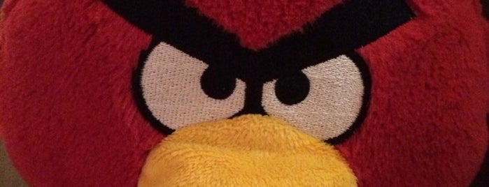 Center For Angry Bird Management is one of Avian.