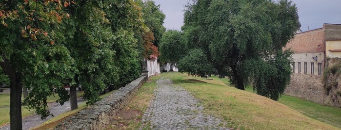 Městský park is one of Znaim.