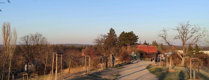 Třešňovka is one of Tempat yang Disukai Nikos.