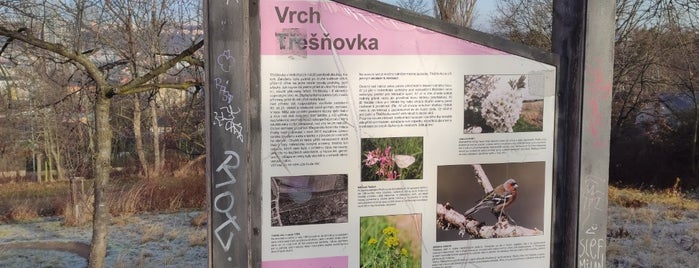 Třešňovka is one of Prague Nature.