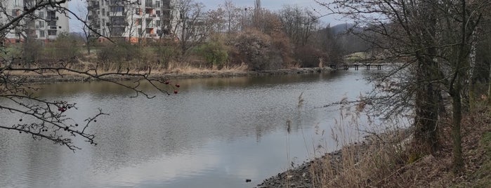 Hořejší rybník is one of Voda.
