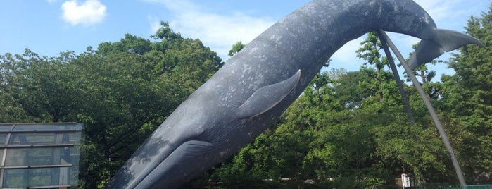 Blue Whale is one of 科学館とプラネタリウム.