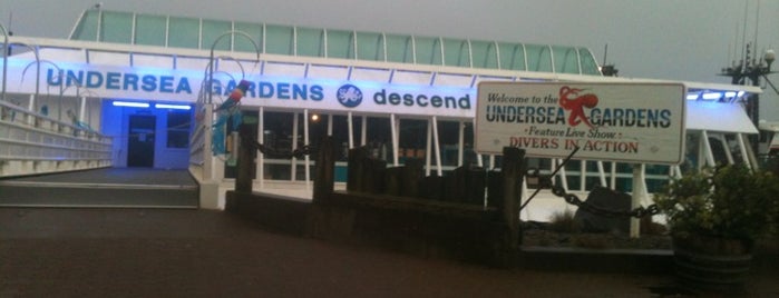 Undersea Gardens is one of Posti che sono piaciuti a Ingo.