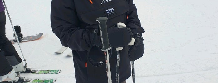 Skigebiet Maria Alm - Hintermoos / Ski amadé is one of Ski Amadé.