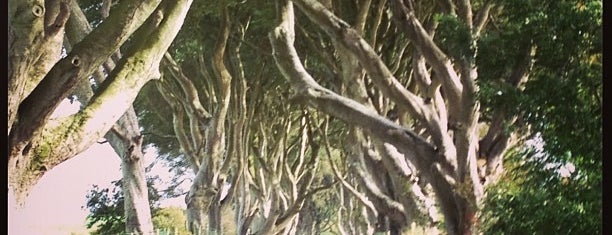 The Dark Hedges is one of To-Do in Europe.