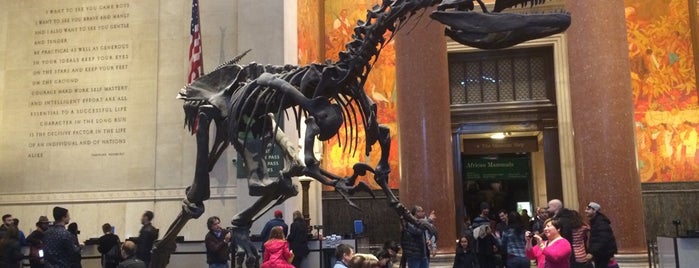 American Museum of Natural History is one of Ben's "I'm visiting New York" Definitive List.