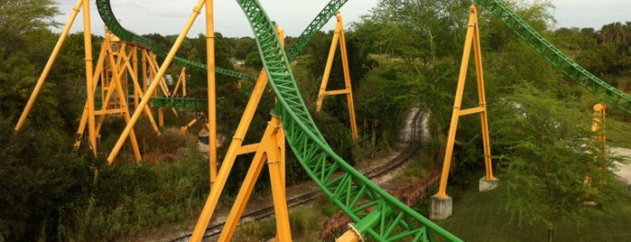 Busch Gardens Tampa Bay is one of Florida.