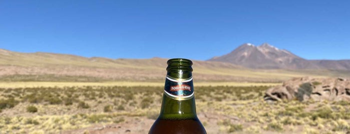 Restaurant Tierra Atacama Hotel is one of Honeymoon!.