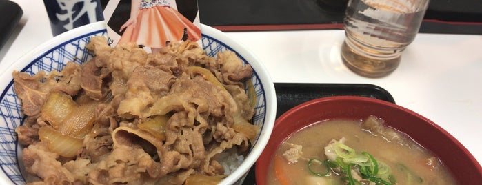 Yoshinoya is one of Japon.