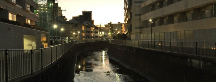山下橋 is one of 善福寺川に架かる橋.