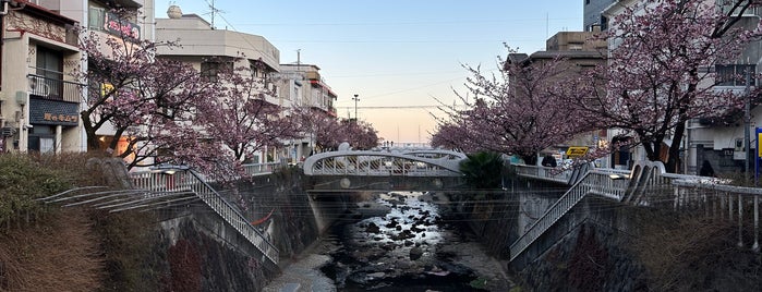 糸川橋 is one of 渡った橋（東日本）.