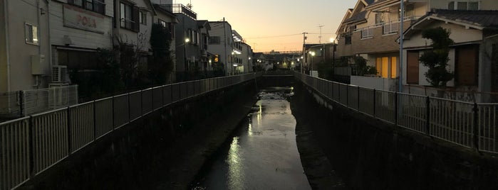 井荻橋 is one of 善福寺川に架かる橋.