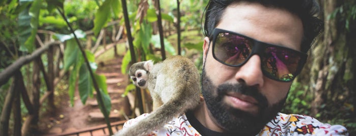 Monkey Jungle is one of Cabrera, Dominican Republic.