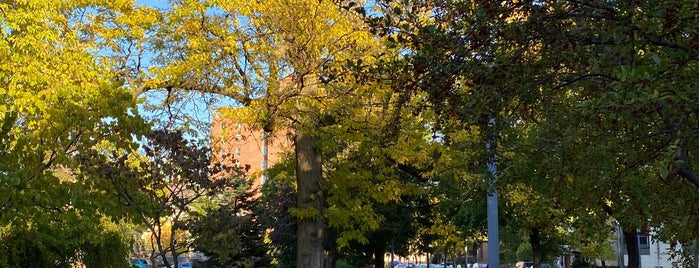 Thomas Lowry Park is one of Minneapolis Parks.