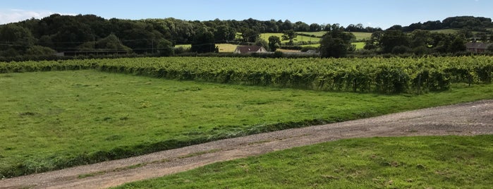 Rosemary Vineyard is one of Isle of Wight.