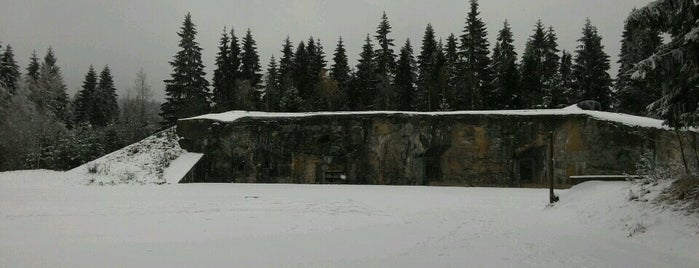 Bunkr u pevnosti Hanička is one of Vojenské památky (CZ).