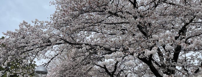 Kanuma Park is one of Places to visit in Japan.