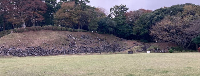 Ishigakiyama Castle Ruins is one of 「どうする家康」ゆかりのスポット.