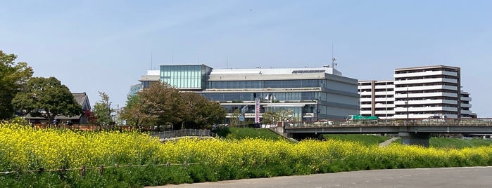 Shiki City Hall is one of 埼玉県_志木市.