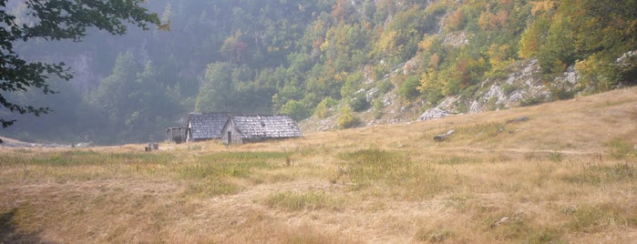 Crepulj poljana is one of Sceneries of Durmitor.