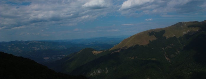 Vidikovac Lumer is one of National Park Biogradska Gora.