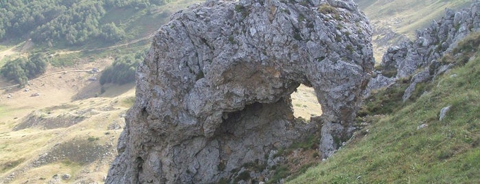Elephant Stone is one of The Lakes of Mount Bjelasica.