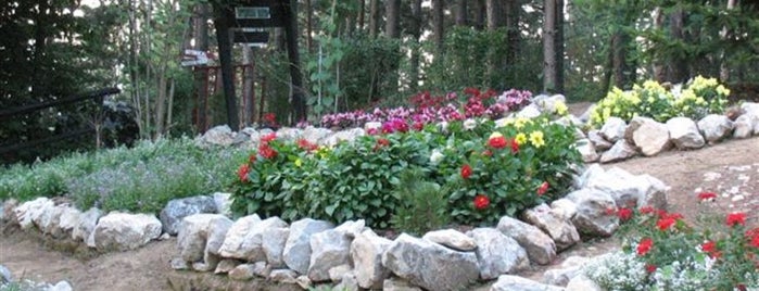 Botanical Garden Dulovine is one of Stories of Kolašin.