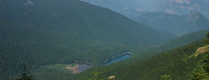 Bendovac is one of The Lakes of Mount Bjelasica.