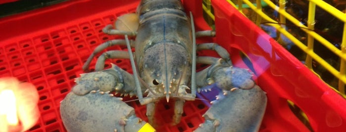 Thurston's Lobster Pound is one of New England.