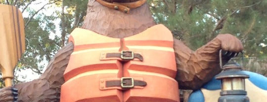 Grizzly River Run is one of Disneyland 2013.