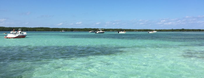 Sands Cut Sandbar is one of Jacobo'nun Beğendiği Mekanlar.