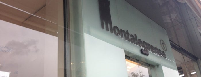 Montalegrense is one of braga.