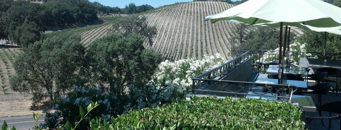 AronHill Vineyards is one of Paso Robles Wine Country.
