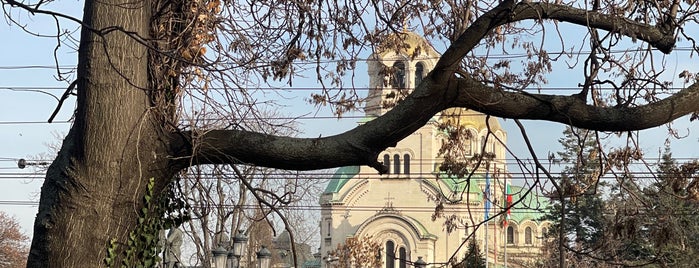 Градинката на руската църква is one of Sofya.