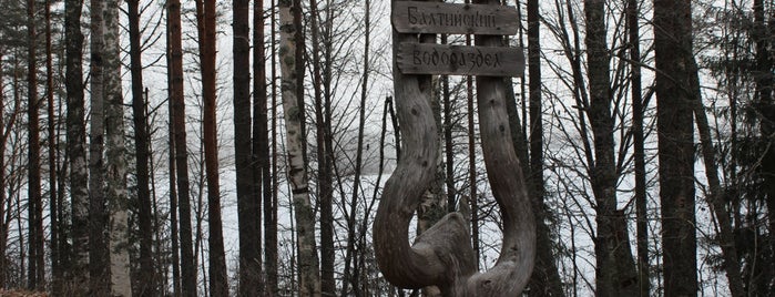 Беломорско-Балтийский водораздел is one of Lugares favoritos de Lena.