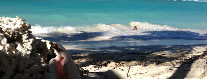 Cow Wreck Beach is one of British Virgin Islands.