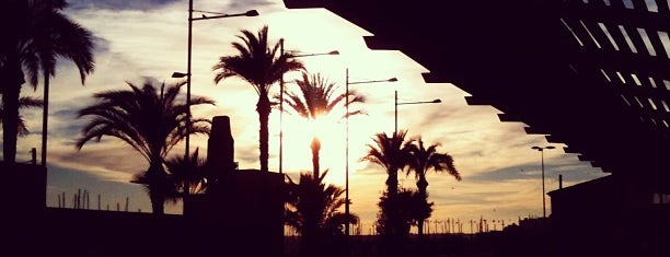 Torrevieja is one of Lugares guardados de ✨💗Валентина В 💋💗✨.
