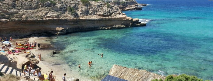 Cala Bassa is one of Ibiza.