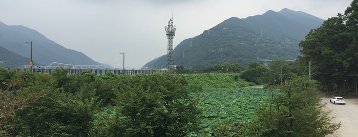 Bonjour is one of 데이또하고 ,쇼핑도하고.