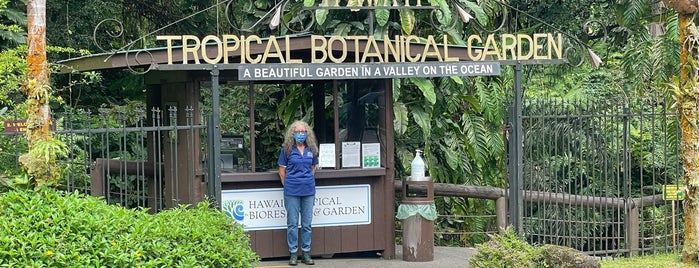 Hawaii Tropical Botanical Garden is one of Big Island with JetSetCD.