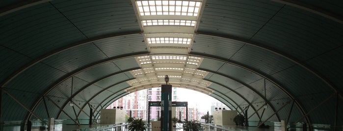 Maglev Train Longyang Road Station is one of 4sqDiscoveries.