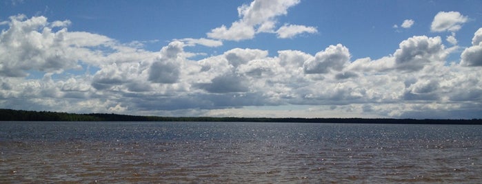 Біле озеро is one of Locais curtidos por Vadym.