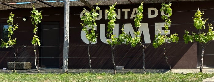 Quinta do Cume is one of Portuguese Wine.
