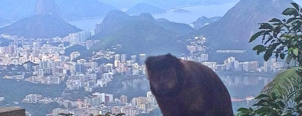 Mesa do Imperador is one of Rio 2014.