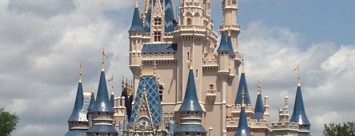 Magic Kingdom Park is one of Someday I will be here..