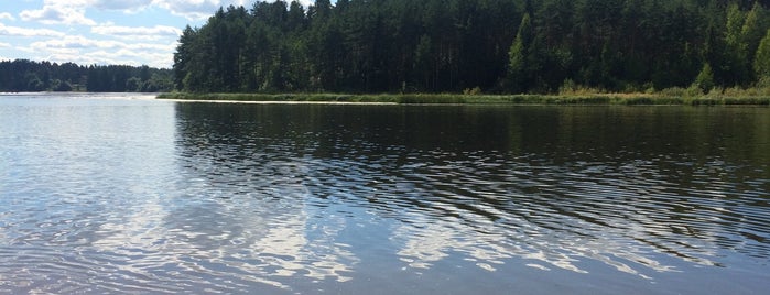 Пляж на реке Оредеж is one of Купаться.