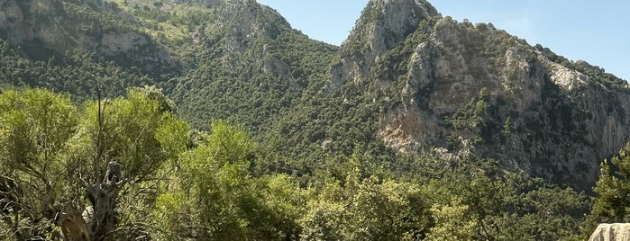 Sierra Tramontana is one of Mallorca.