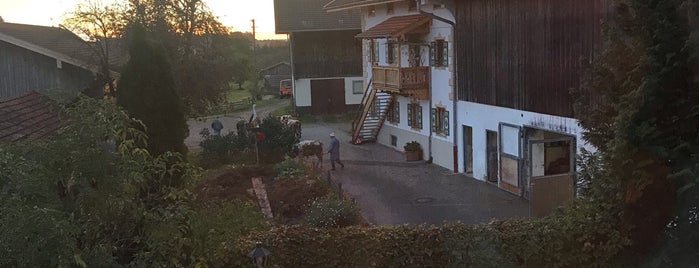Landgasthof Goldener Pflug is one of Favoriten.
