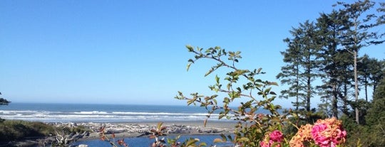 Kalaloch Lodge at Olympic National Park is one of Hotel.