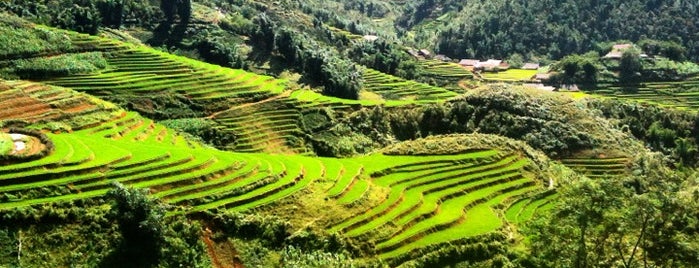 Mường Hoa (Muong Hoa Valley) is one of Jas' favorite natural sites.